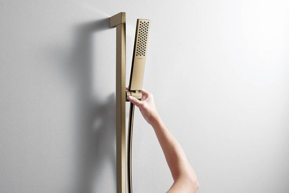 Ручной душ HANSGROHE PULSIFY E ECOSMART/бронза (24321140)