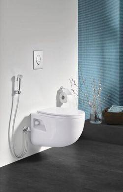 Гігієнічний душ GROHE TEMPESTA-F TRIGGER / хром (27512001)