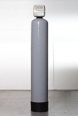 Фільтр для видалення сірководню ECOSOFT FPC 1252CT