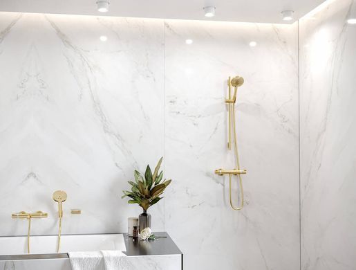 HANSGROHE Ручной душ RAINDANCE SELECT S 120 3JET ECOSMART 9L POLISHED GOLD OPTIC (26531990)