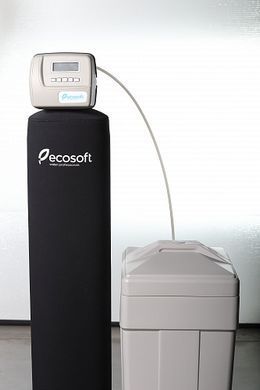 Фильтр обезжелезивания и смягчения воды ECOSOFT FK1665CEMIXA