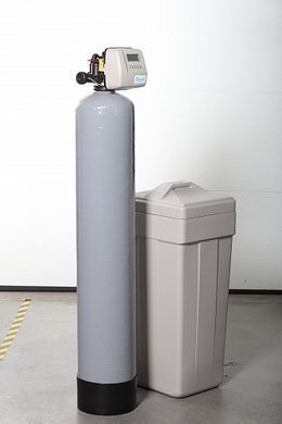 Фильтр обезжелезивания и смягчения воды ECOSOFT FK1665CEMIXA