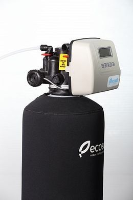 Фильтр обезжелезивания и смягчения воды ECOSOFT FK1665CEMIXA