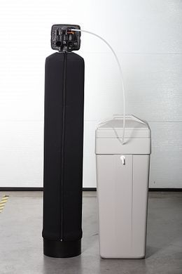 Фильтр обезжелезивания и смягчения воды ECOSOFT FK1665CEMIXA
