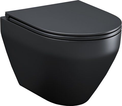 Подвесной унитаз AM.PM SPIRIT V2.0 FLASHCLEAN / сиденье микролифт / черный (C701700MBSC)