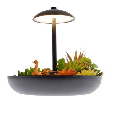 Подсветка світлодіодне декоративне з рослинами BL-991T/10+5W WW BK LED