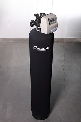 Фільтр для видалення хлору ECOSOFT FPA 1665CT