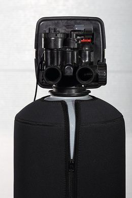 Фільтр для видалення хлору ECOSOFT FPA 1465CT