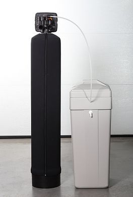 Фильтр обезжелезивания и смягчения воды ECOSOFT FK1354CEMIXA