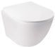 Подвесной унитаз QTAP JAY / сидение SOFT CLOSE (QT07335176W)