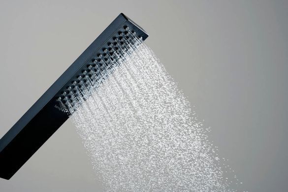 Ручной душ HANSGROHE PULSIFY E ECOSMART/черный/матовый (24320670)