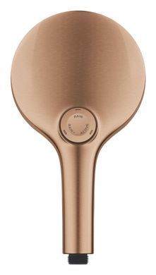 Ручной душ GROHE SPA RAINSHOWER AQUA (101676DL00)