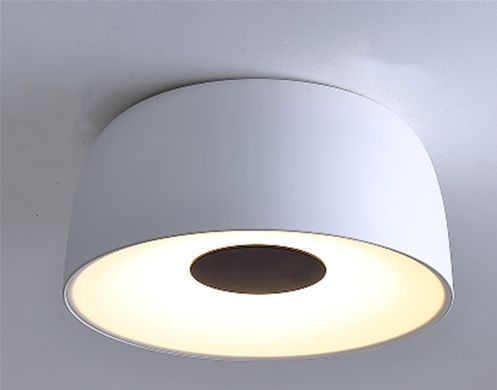 Светильник настенно-потолочный светодиодный накладной BL-841C/32W WW WH