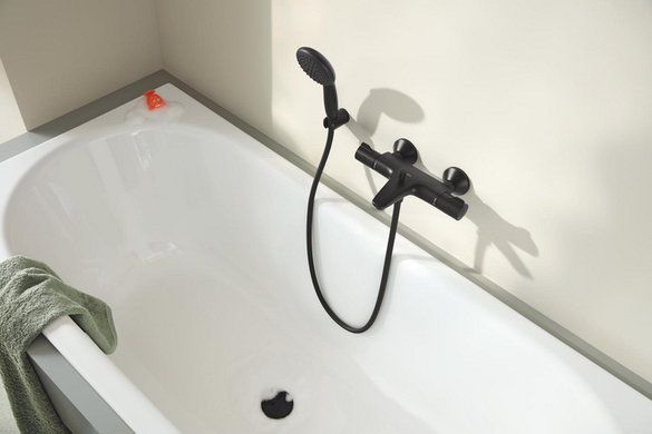 Ручной душ GROHE TEMPESTA 100 / 2 режима струи (264062433)