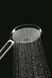 Ручний душ GROHE EUPHORIA 110 DUO (27220000)